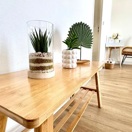 Apartment Le Fleural T2 Confort Et Style Centre