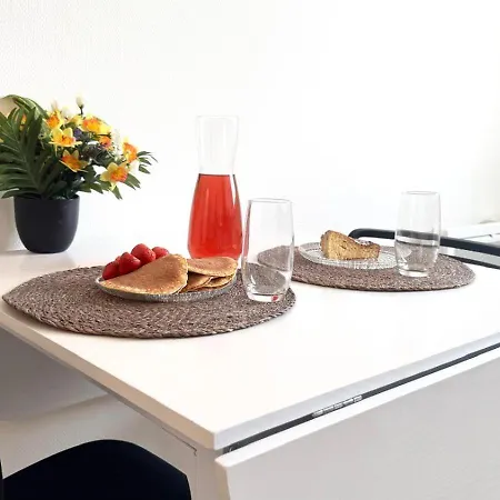 Le Fleural T2 Confort Et Style Centre Apartment Muret